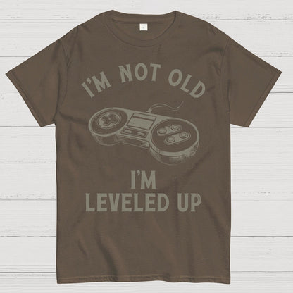 Not Old But Leveled Up Geek T-Shirt