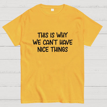 This is Why We Can't Have Nice Things Geek T-Shirt