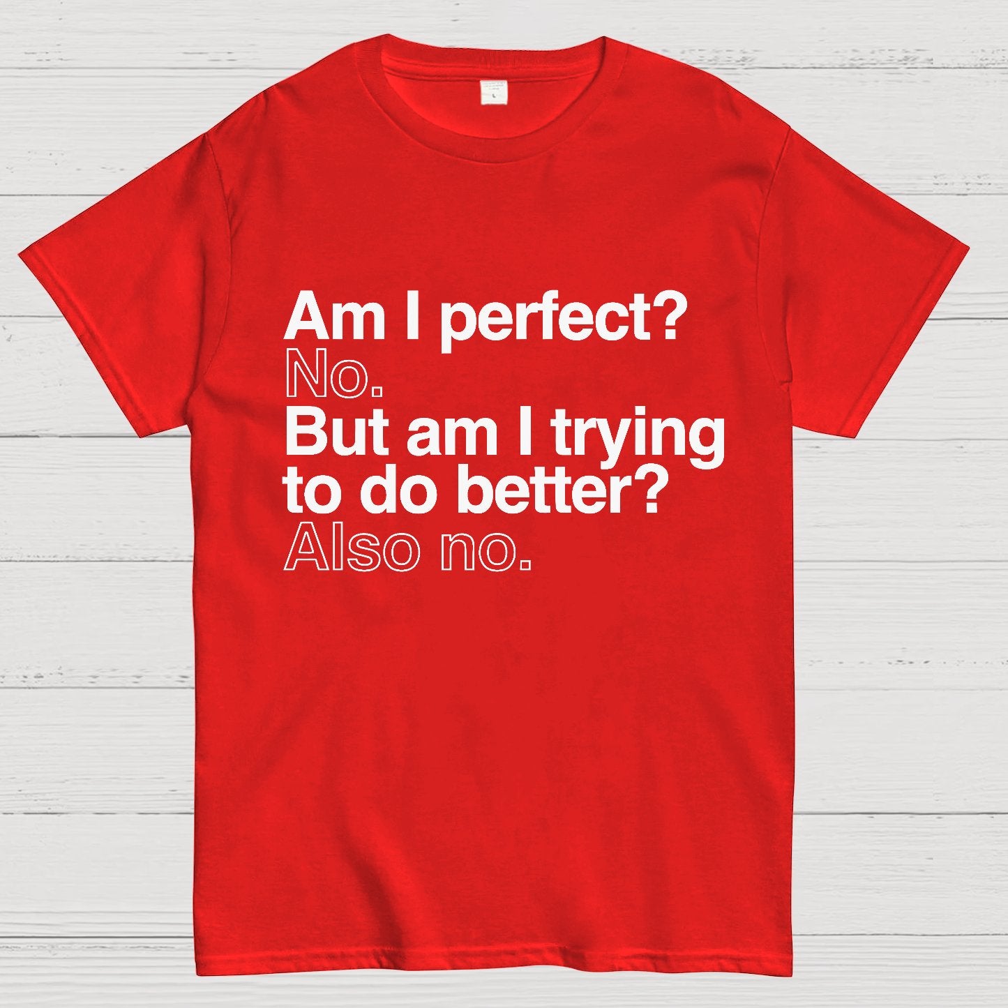 Am I Perfect No Nerdy T-Shirt