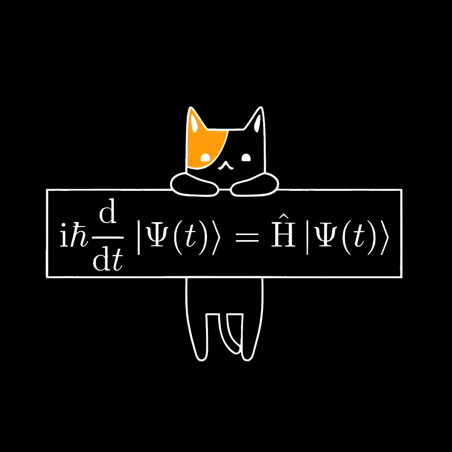 Schrödinger equation Geeky T-Shirt