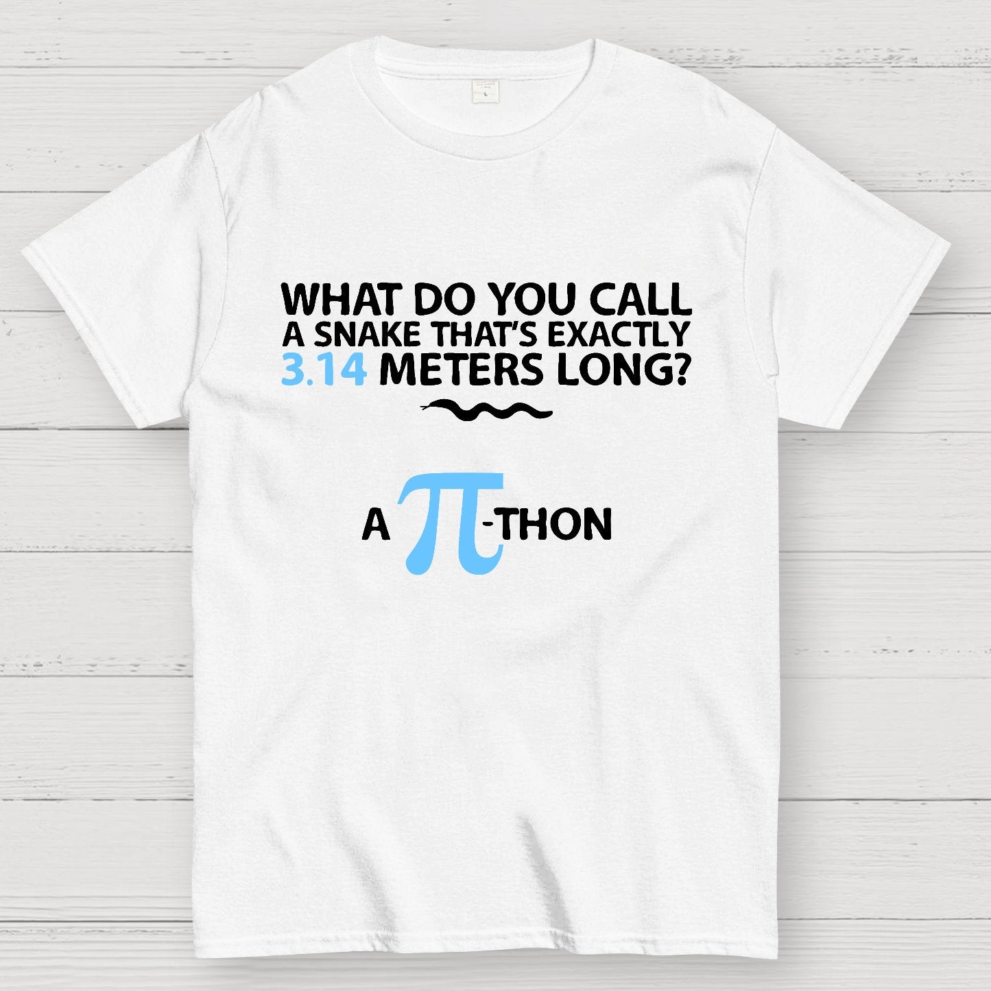 Funny Math Humor Snake Reptile 3.14 Pi Students Kids Geek T-Shirt