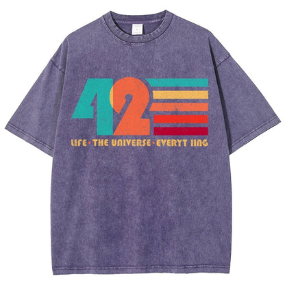 The Answer Is 42 Vintage Distressed T-shirt