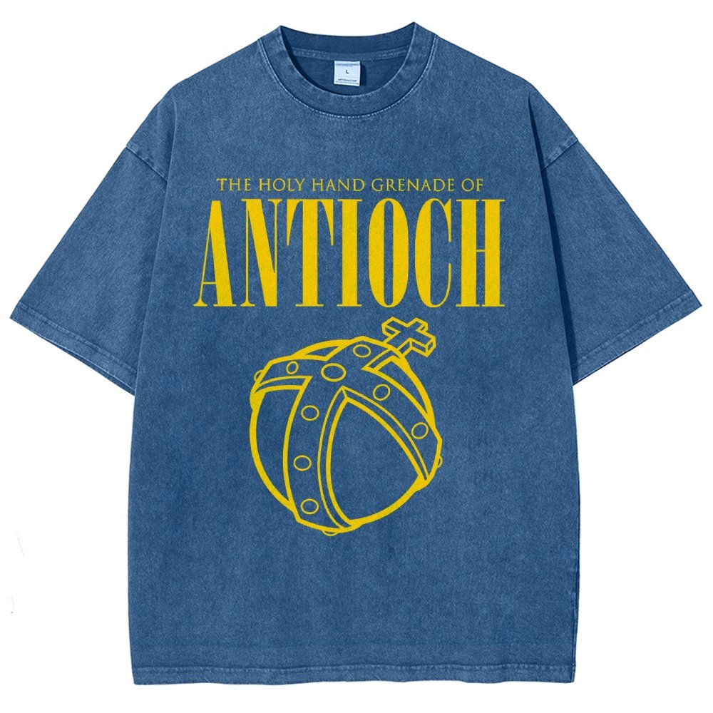 The Holy Hand Grenade of an Ancient Place Vintage Distressed T-shirt