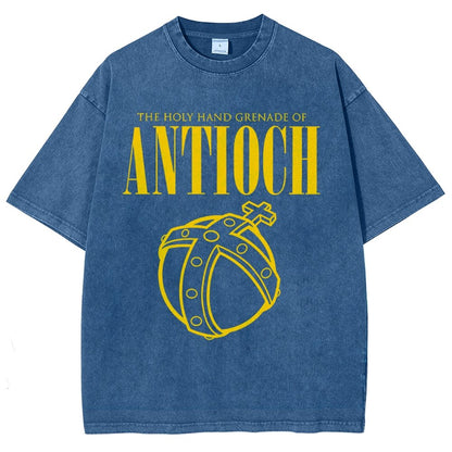 The Holy Hand Grenade of an Ancient Place Vintage Distressed T-shirt