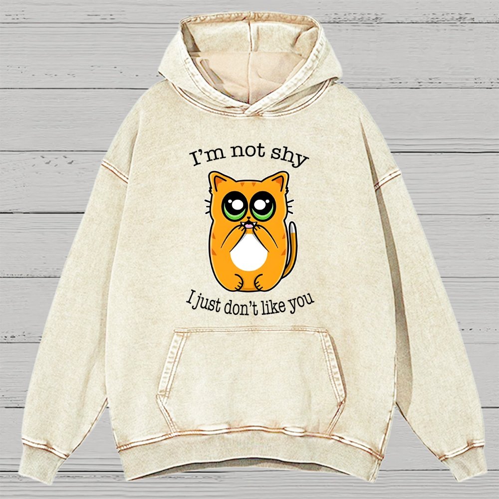 Not Shy Vintage Distressed Hoodie