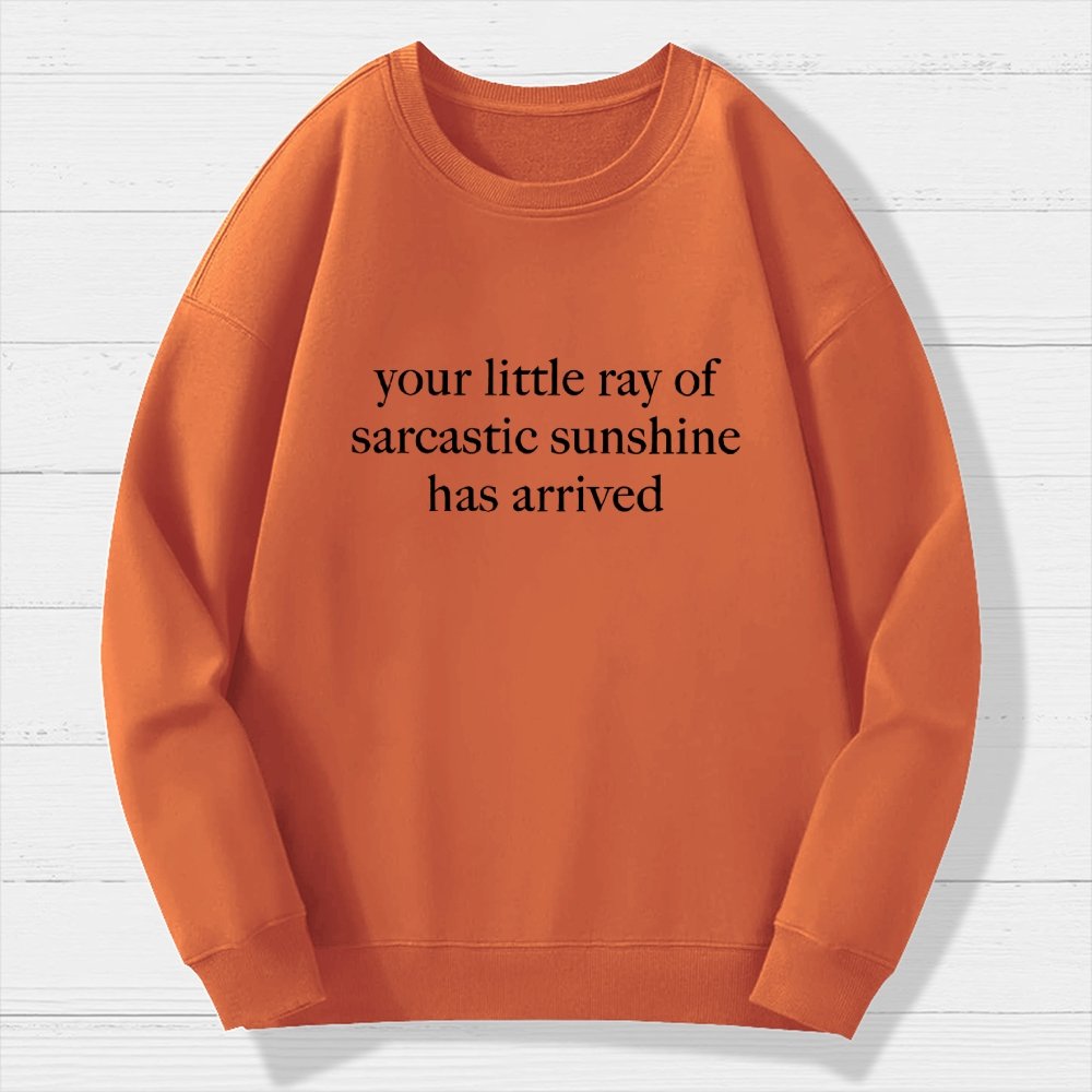 Your Little Ray Of Sarcastic Sunshine Has Arrived Geek Cotton Sweatshirt