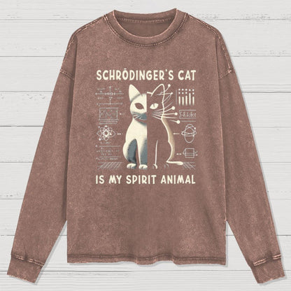 Schrodinger's Сat Science Washed Long Sleeve Tee