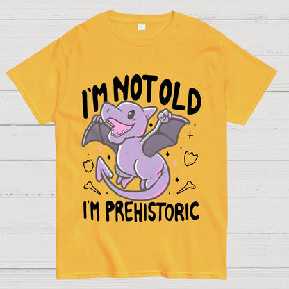 I'm Not Old I Am Prehistoric Geek T-Shirt