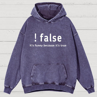False It's Funny Because It's True Vintage Distressed Hoodie