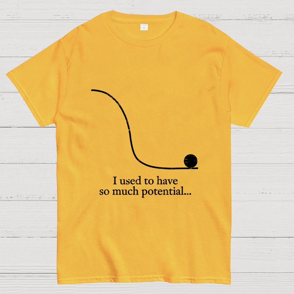 Used To Have Potential Geek T-Shirt