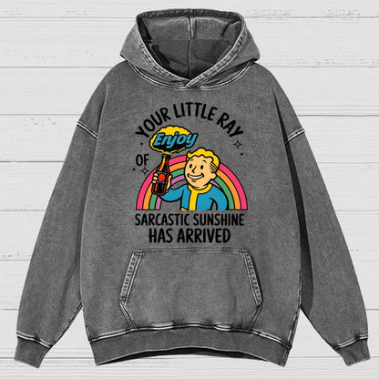 Your Little Ray Of Sarcastic Sunshine Has Arrived Vintage Distressed Hoodie