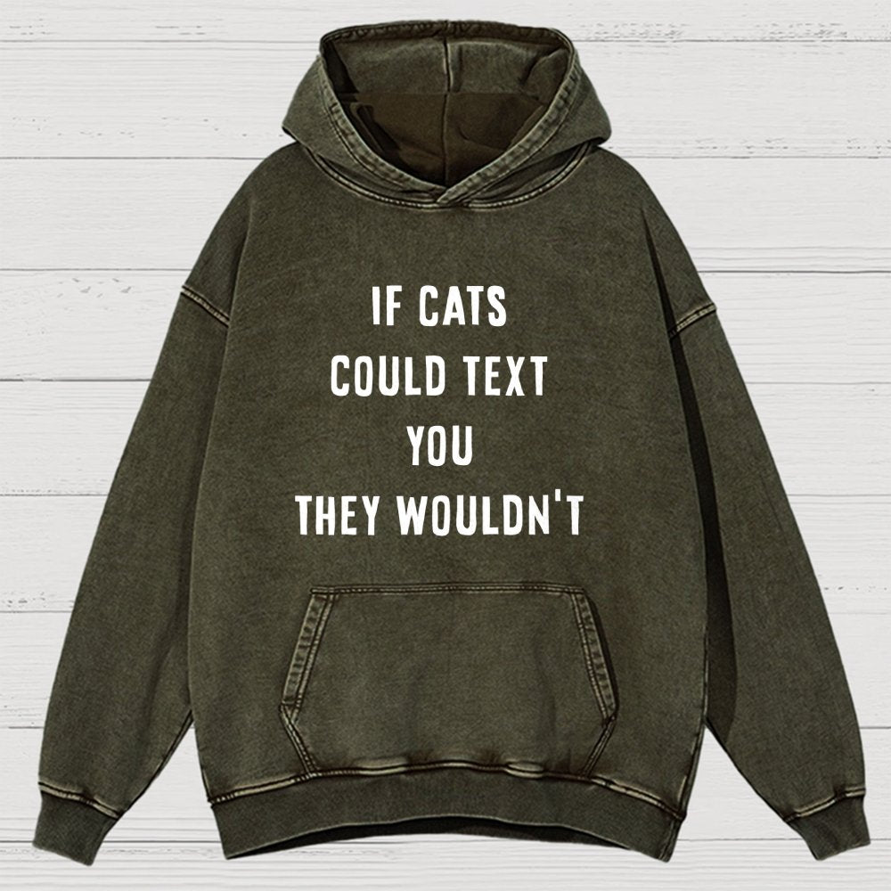 If Cats Could Text You Vintage Distressed Hoodie