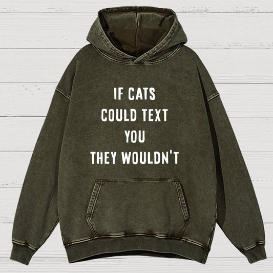 If Cats Could Text You Vintage Distressed Hoodie