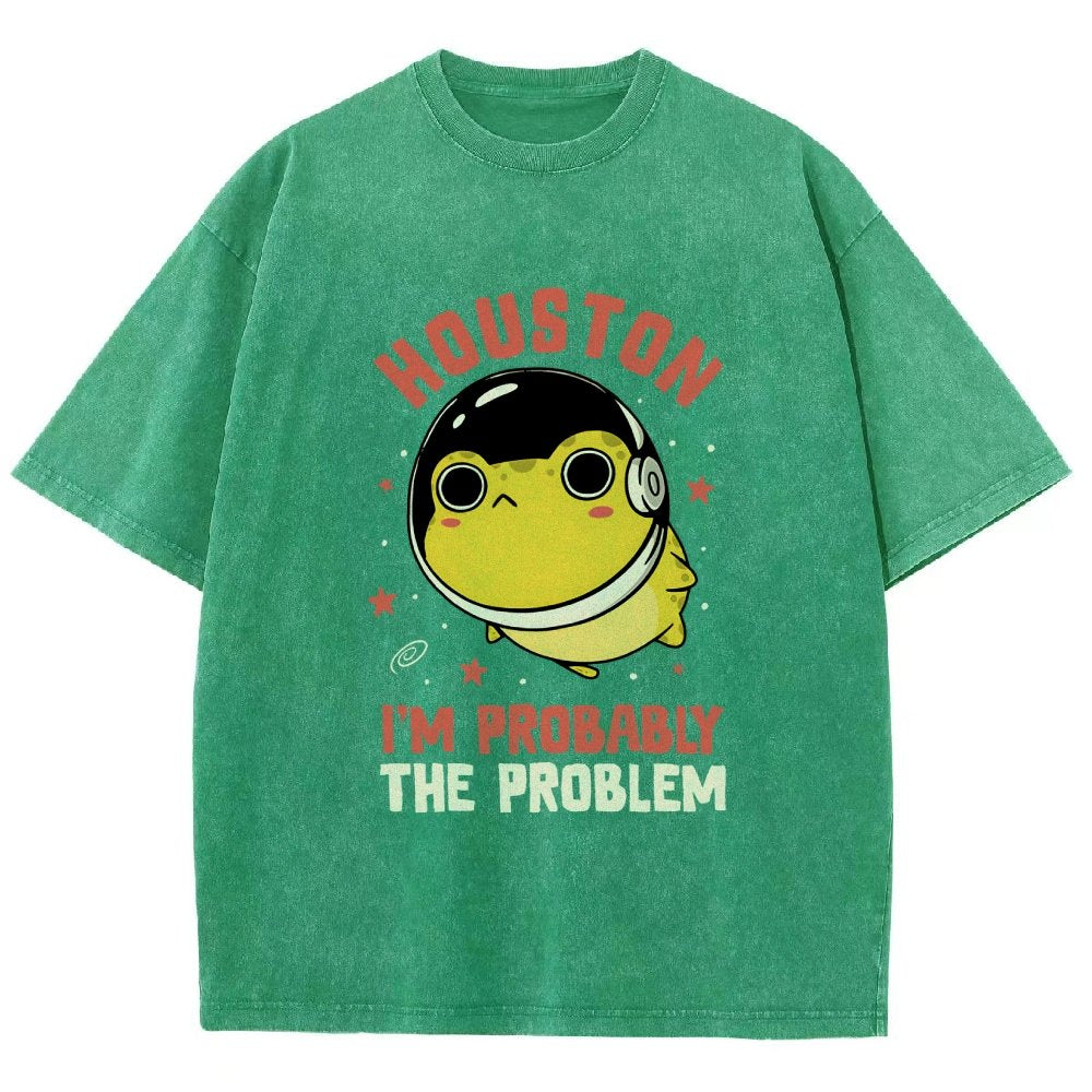 Houston Im Probably The Problem Vintage Distressed T-shirt