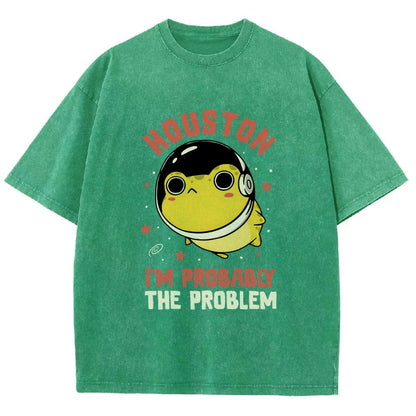 Houston Im Probably The Problem Vintage Distressed T-shirt