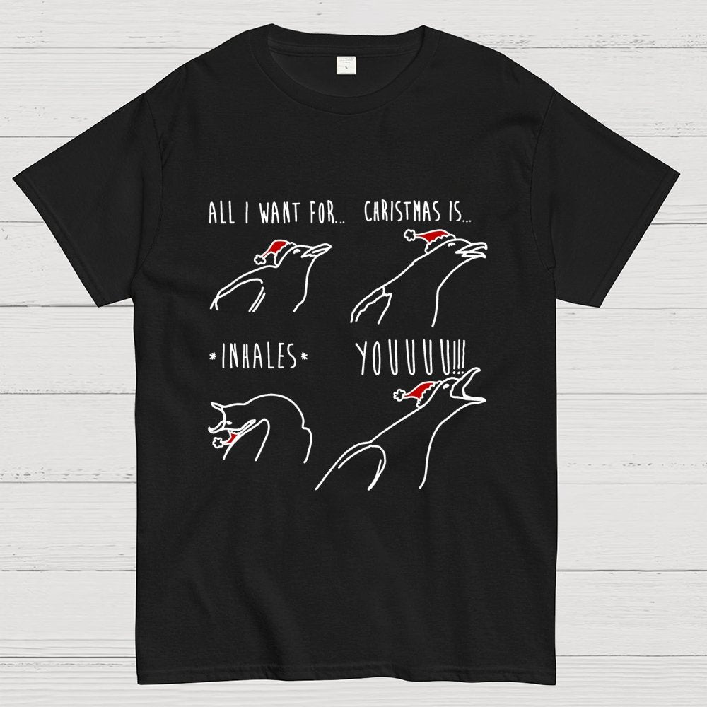 All I Want For Christmas Is You Geek T-Shirt