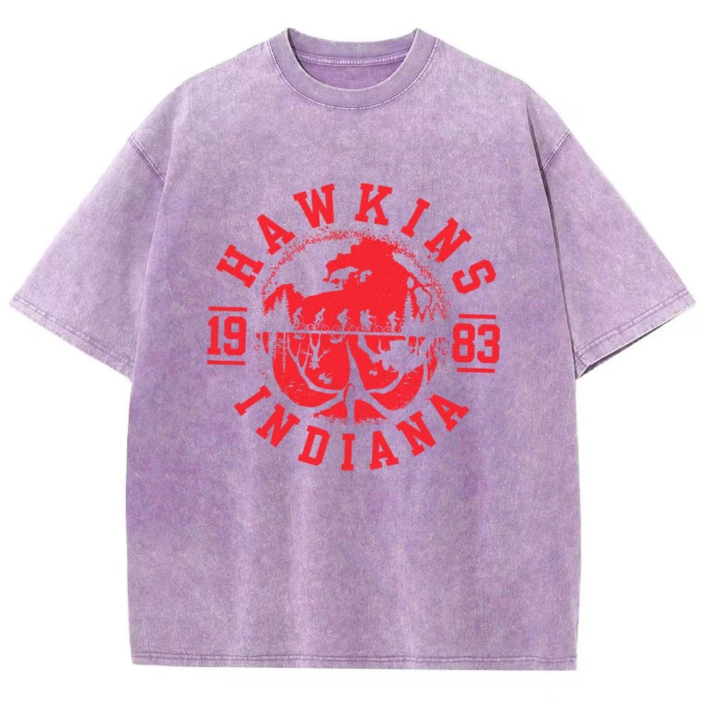 Maplewood 1983 Indiana Vintage Distressed T-shirt