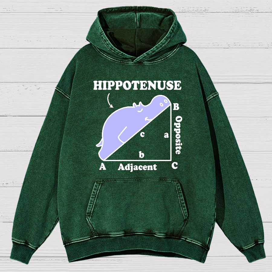 Hypotenuse Math Pun, Hippotenuse Essential Vintage Distressed Hoodie