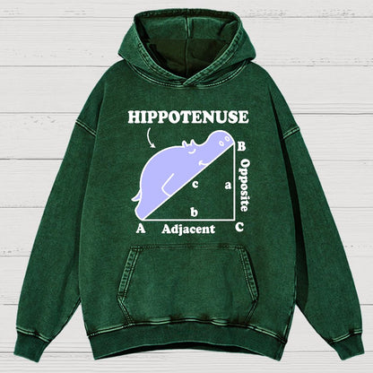 Hypotenuse Math Pun, Hippotenuse Essential Vintage Distressed Hoodie
