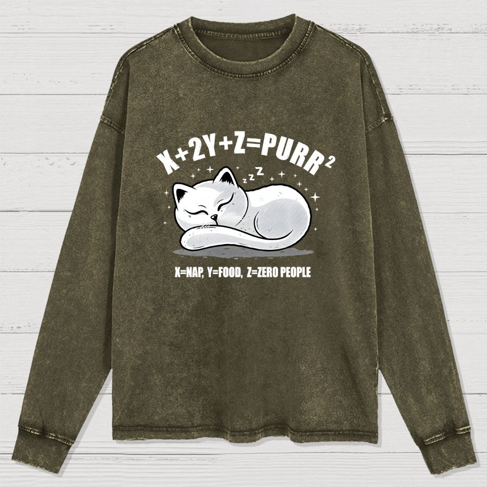 Purrfect Equation Washed Long Sleeve Tee