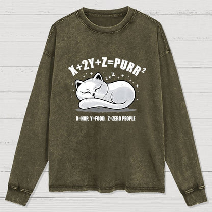 Purrfect Equation Washed Long Sleeve Tee