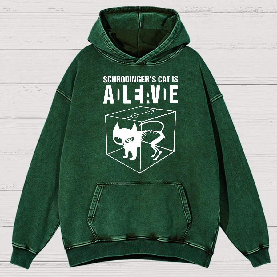 Schrodinger's Cat Vintage Distressed Hoodie