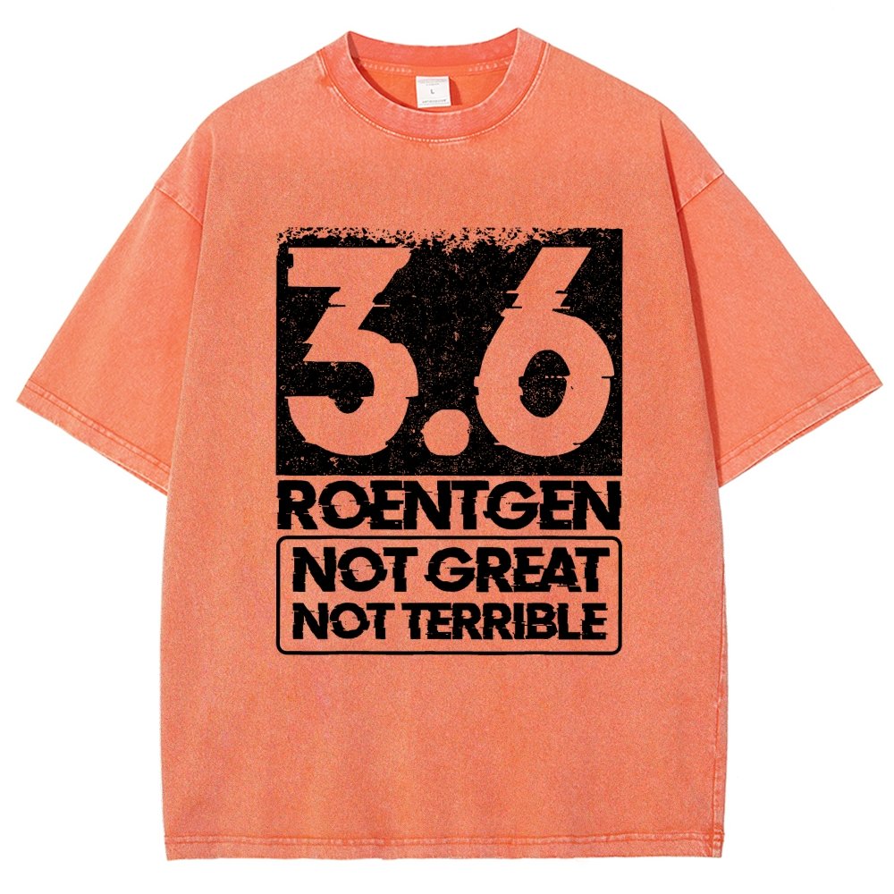 3.6 Roentgen Not Great Not Terrible Vintage Distressed T-shirt