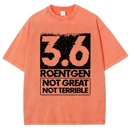 3.6 Roentgen Not Great Not Terrible Vintage Distressed T-shirt