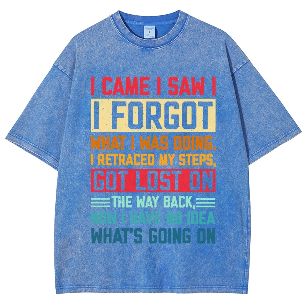 I Came I Saw I Forgot What I Was Doing Sarcastic Vintage Distressed T-shirt