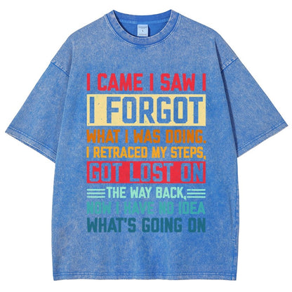 I Came I Saw I Forgot What I Was Doing Sarcastic Vintage Distressed T-shirt
