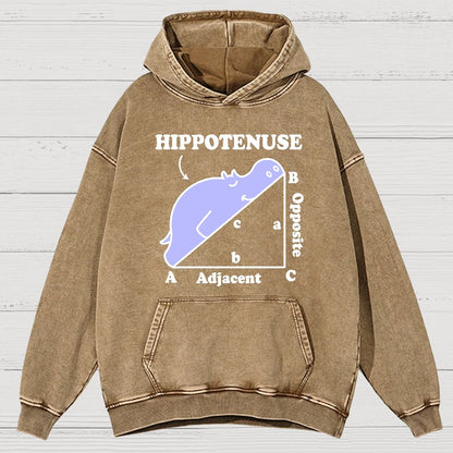 Hypotenuse Math Pun, Hippotenuse Essential Vintage Distressed Hoodie