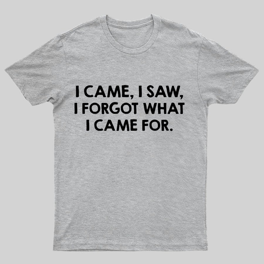 I Came and Saw Funny Geeky T-Shirt