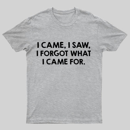 I Came and Saw Funny Geeky T-Shirt