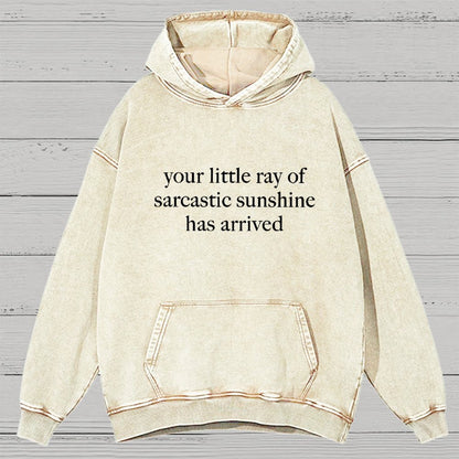 Your Little Ray of Sarcastic Sunshine Has Arrived -3 Vintage Distressed Hoodie