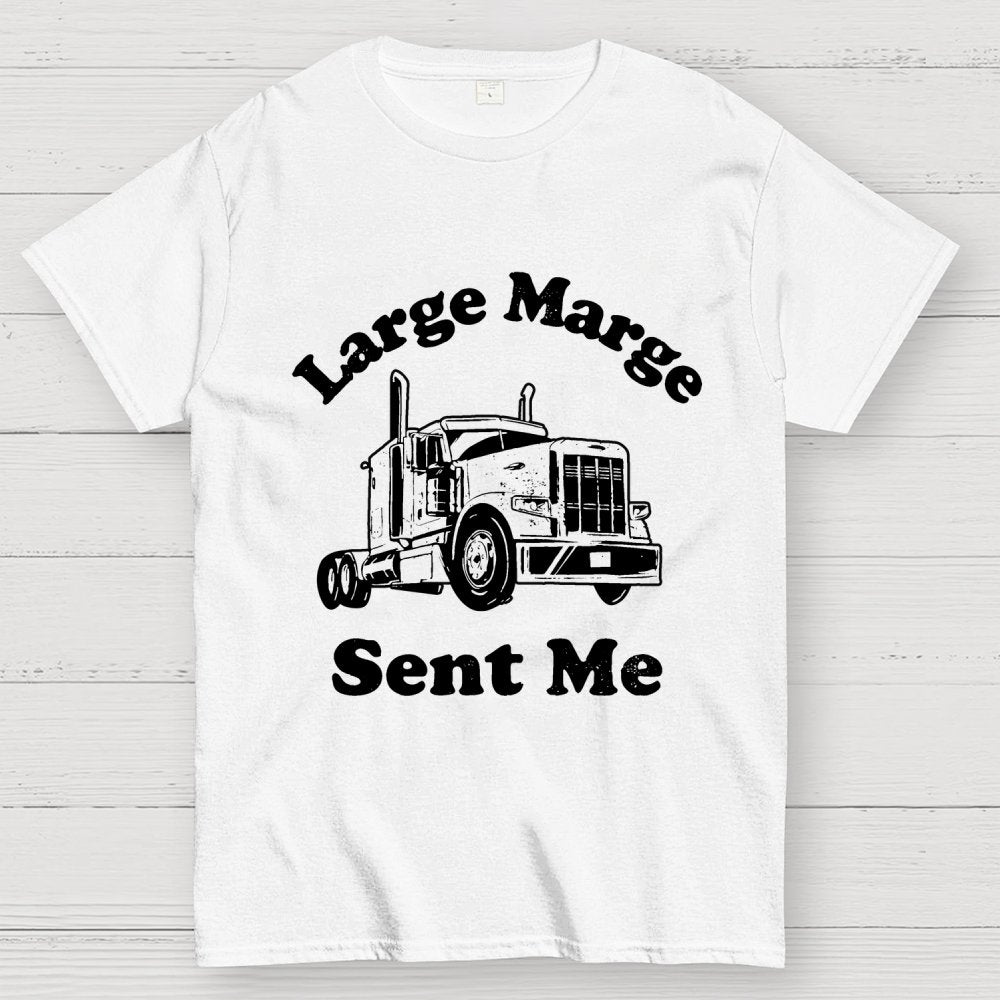 Mysterious Lady Sent Me Geek T-Shirt
