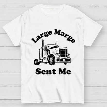 Mysterious Lady Sent Me Geek T-Shirt
