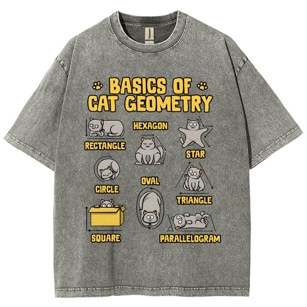 Basics of Cat Geometry Vintage Distressed T-shirt