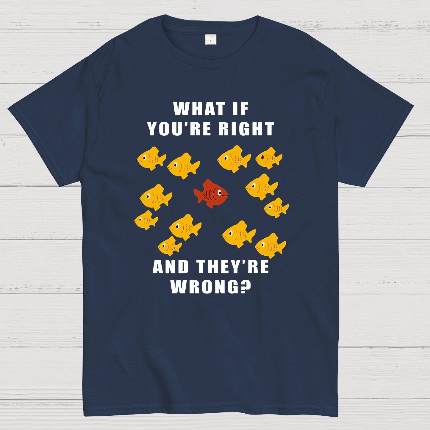 What If You're Right And They're Wrong Geeky T-Shirt