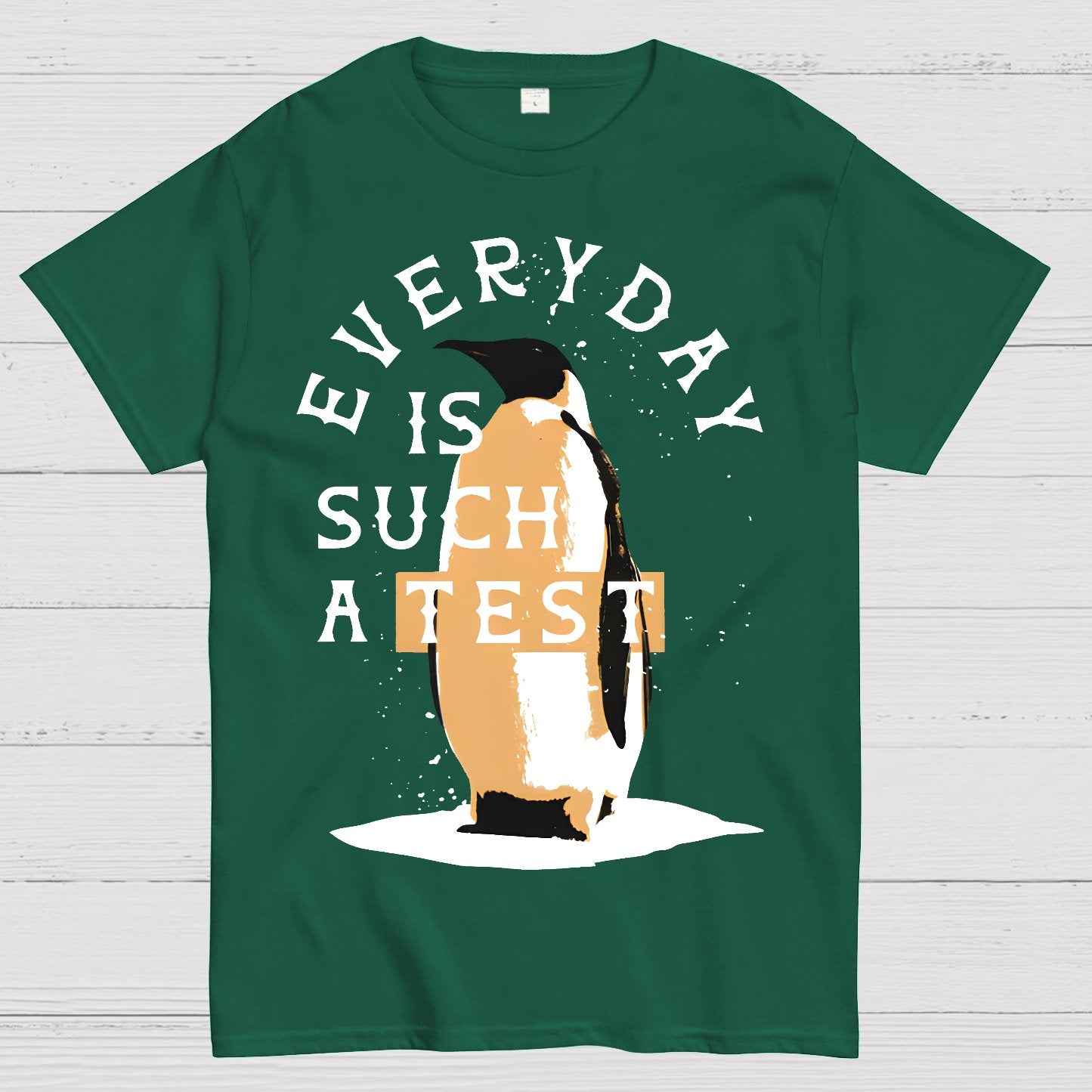 Everyday Is Such A Test Geek T-Shirt