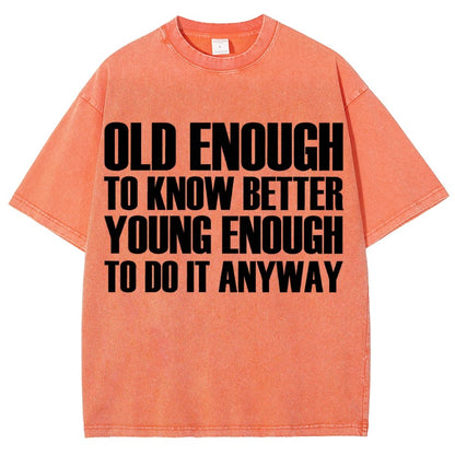 Old Enough To Know Better Young Enough To Do It Anyway Vintage Distressed T-shirt