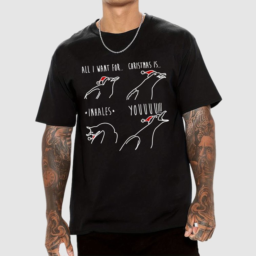 All I Want For Christmas Is You Geek T-Shirt