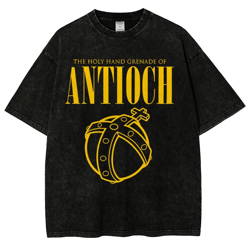 The Holy Hand Grenade of an Ancient Place Vintage Distressed T-shirt