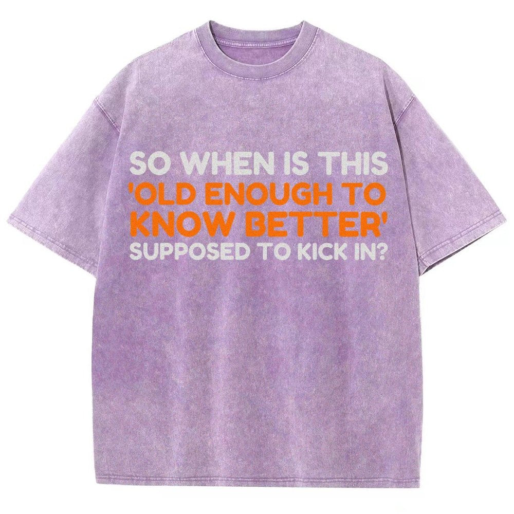 Old Enough To Know Better Vintage Distressed T-shirt