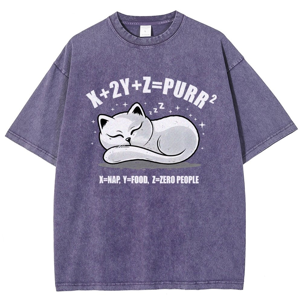 Purrfect Equation Vintage Distressed T-shirt