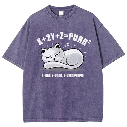 Purrfect Equation Vintage Distressed T-shirt