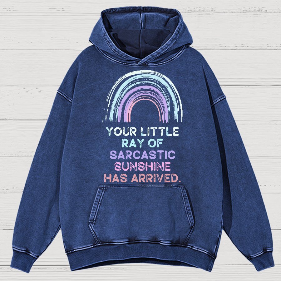 Your Little Ray of Sarcastic Sunshine Has Arrived Vintage Distressed Hoodie