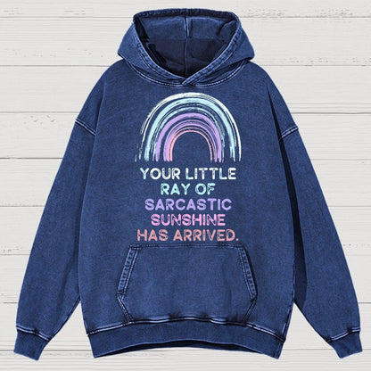 Your Little Ray of Sarcastic Sunshine Has Arrived Vintage Distressed Hoodie