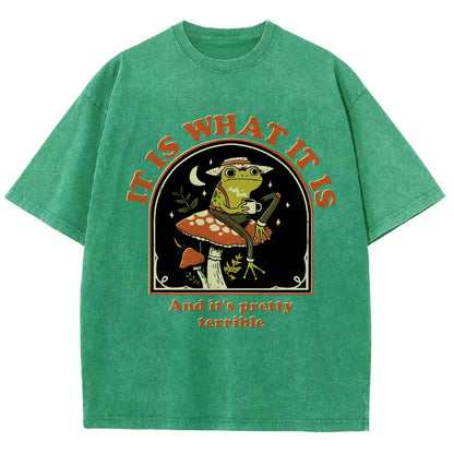It Is What It Is And It's Pretty Terrible Vintage Distressed T-shirt