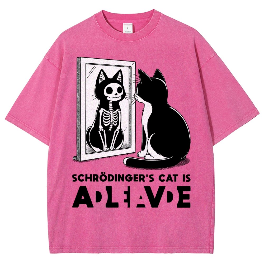 Schrödinger's Cat Alive Dead Vintage Distressed T-shirt