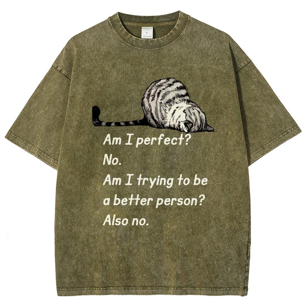 Am I Perfect No Vintage Distressed T-shirt
